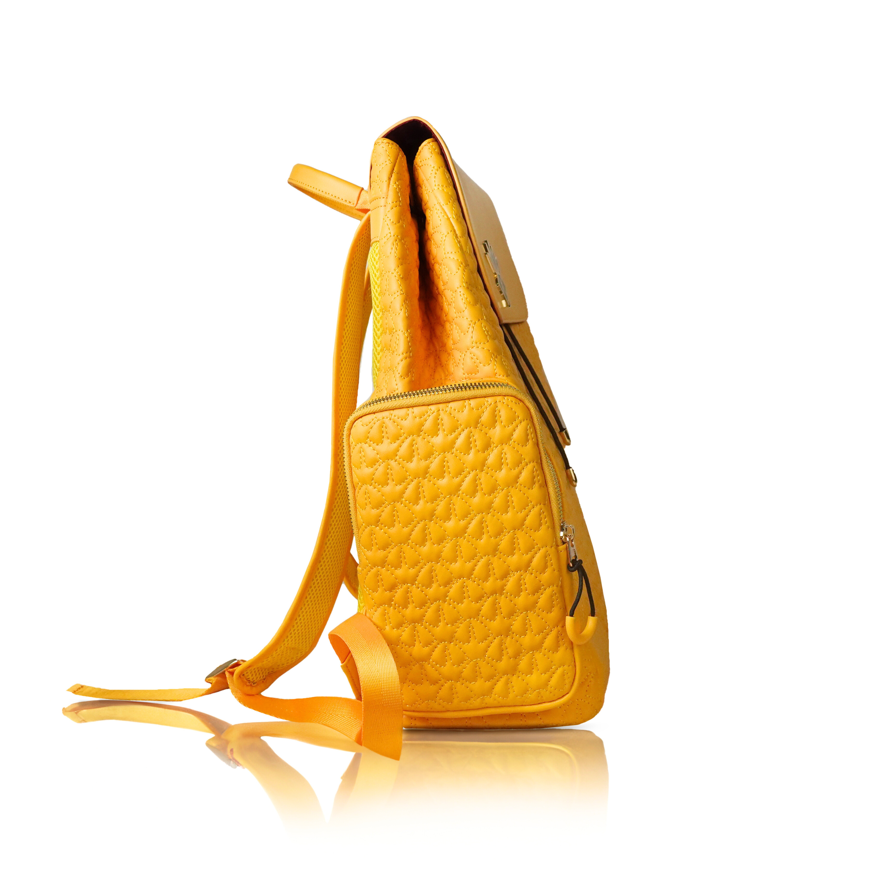 I P B (Interactive Pineapple Bag)