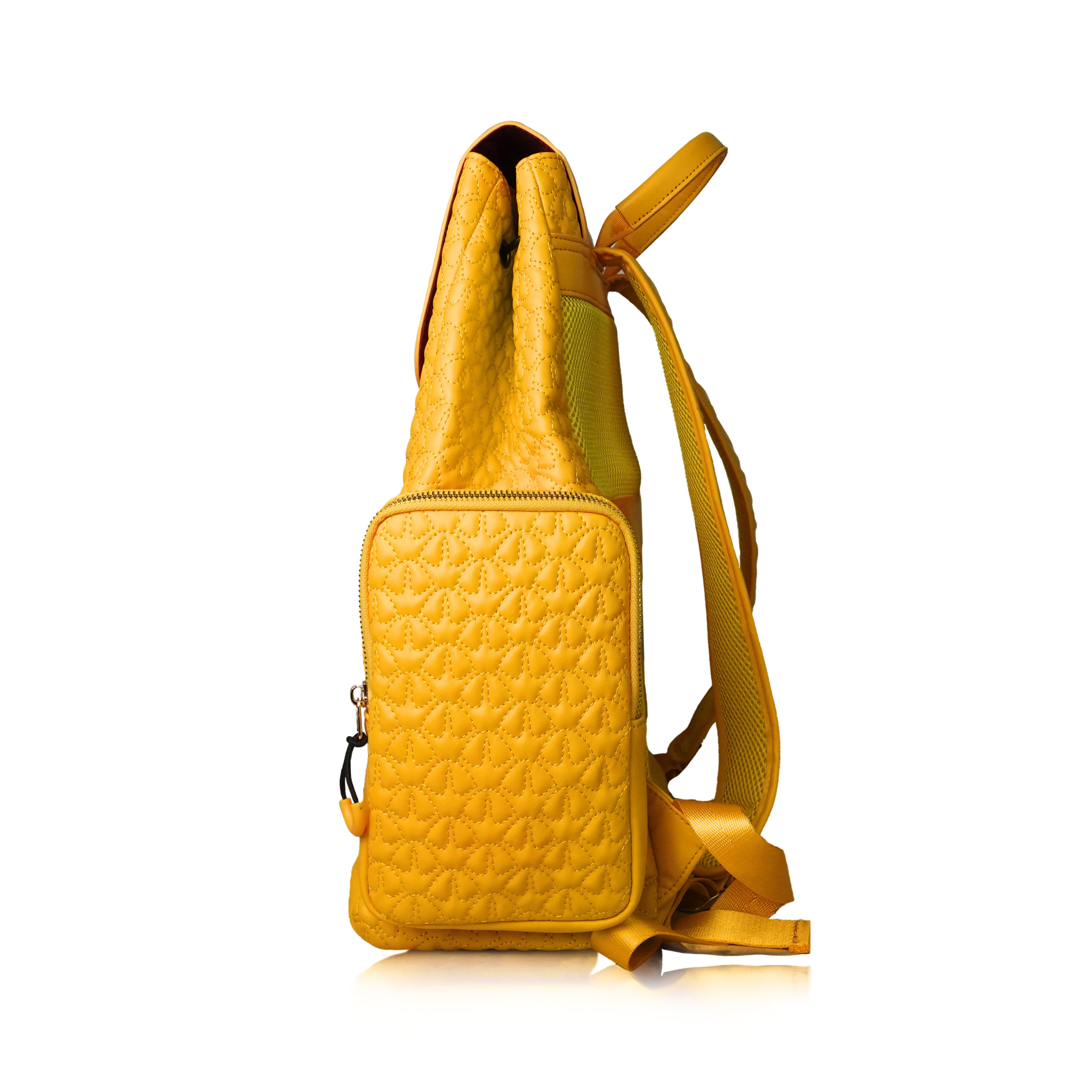I P B (Interactive Pineapple Bag)