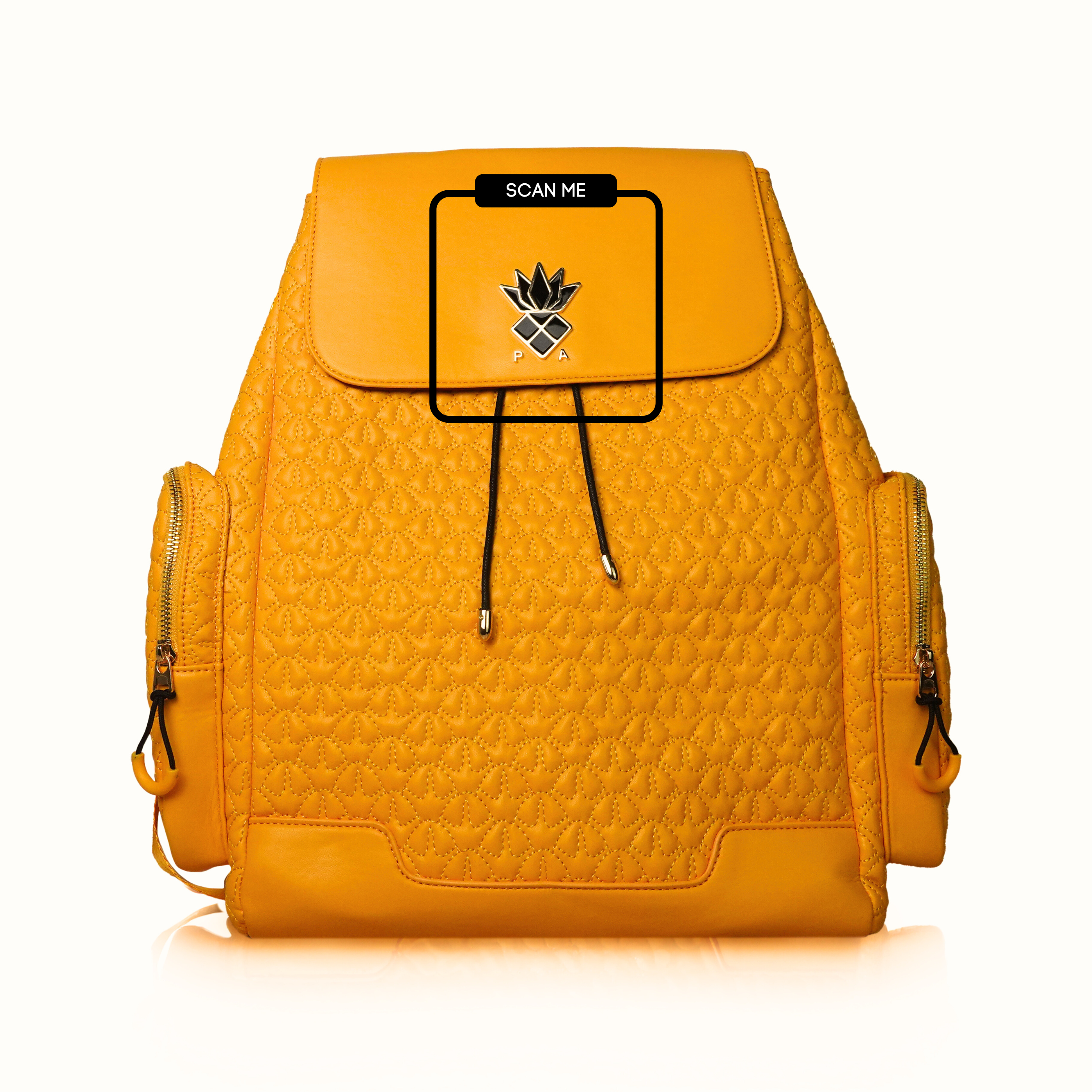 I P B (Interactive Pineapple Bag)